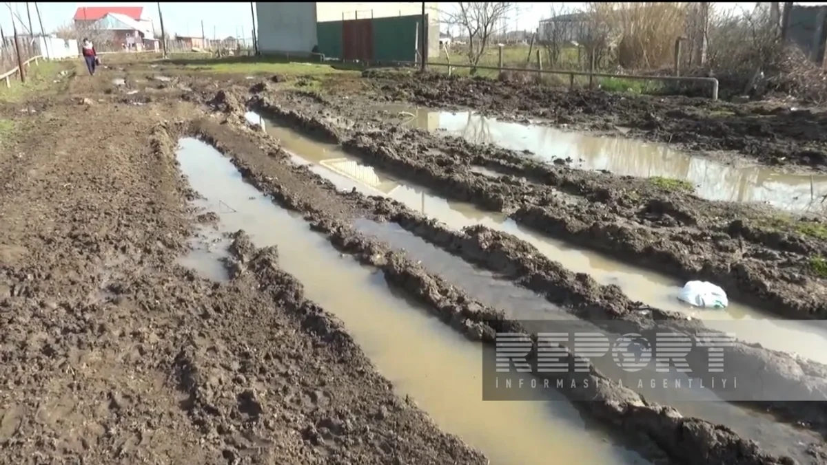 Cəlilabadda kənddaxili yollar bərbad vəziyyətə düşüb