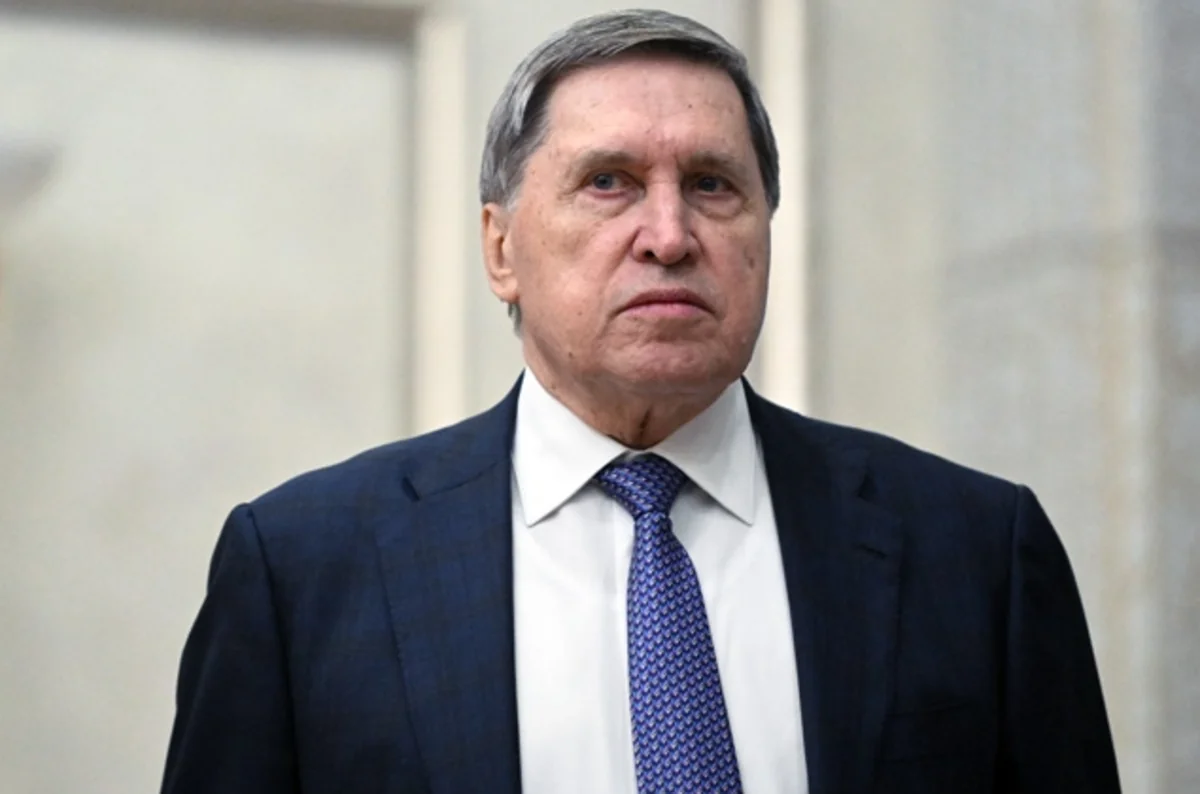 Ushakov: Russian delegation to discuss political, technical issues in Istanbul