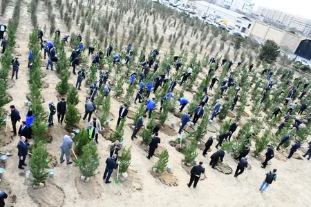 Zəfər Günü ilə bağlı Bakıda ağacəkmə aksiyası keçirilib