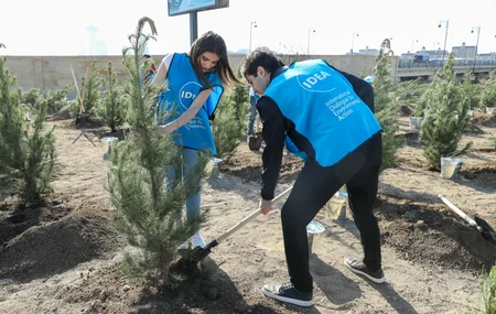 Tree-planting campaign held in Baku