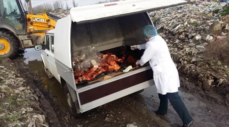 Xaçmazda mənşəyi məlum olmayan heyvan cəmdəyi aşkarlanıb