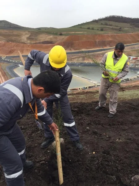 “AzerGold” QSC 10 may- Gül bayramı münasibətilə 10 hektar ərazini yaşıllaşdırıb