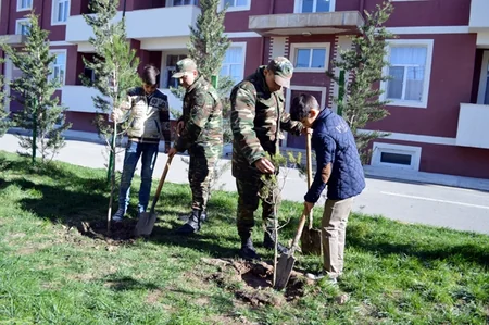 ​Silahlı Qüvvələrdə ağacəkmə aksiyasına start verilib