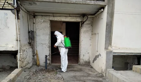 Gəncədə koronavirusa görə dezinfeksiya işləri aparılır