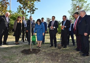 Azerbaijani parliamentary delegation participates in tree planting action in Bulgaria to honour centenary of National Leader Heydar Aliyev