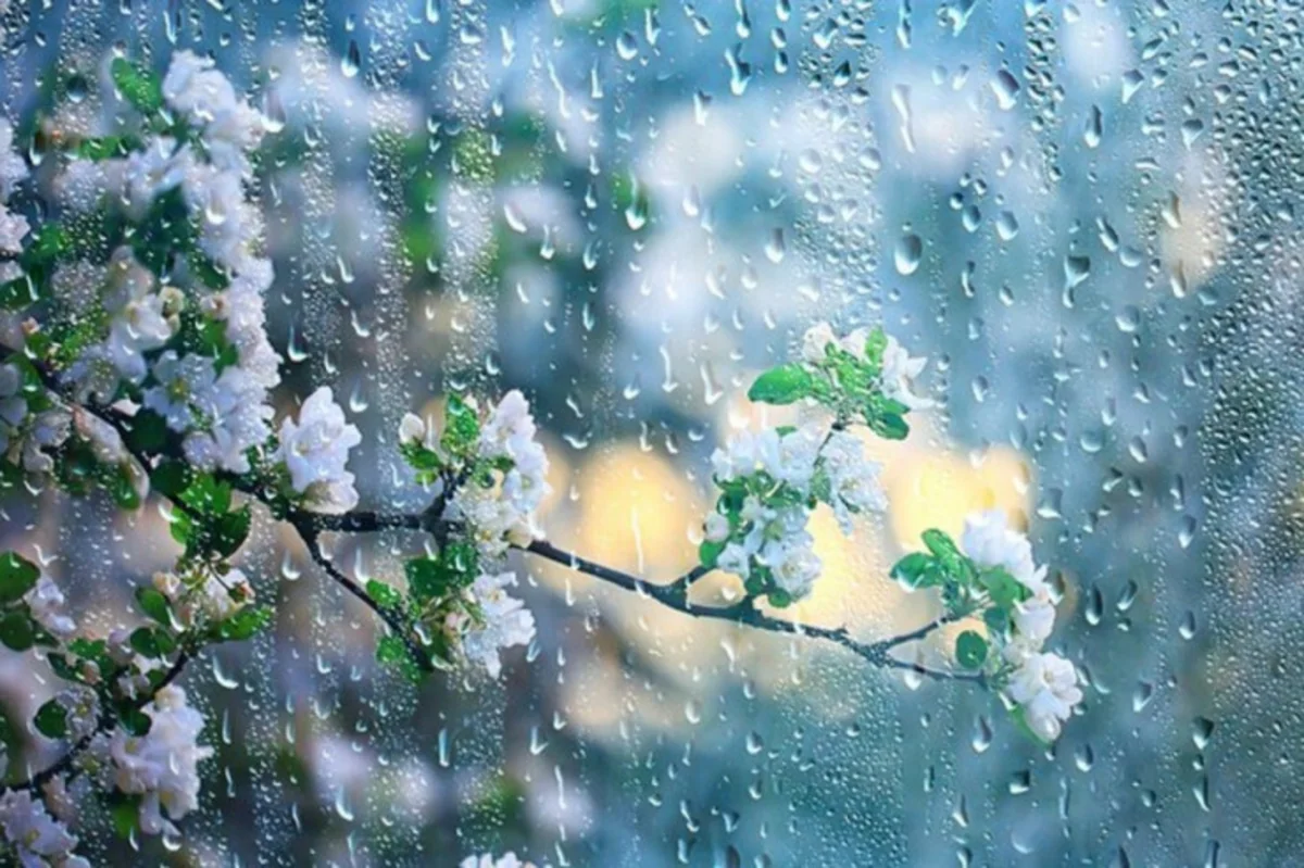 Azerbaijan weather forecast for April 21