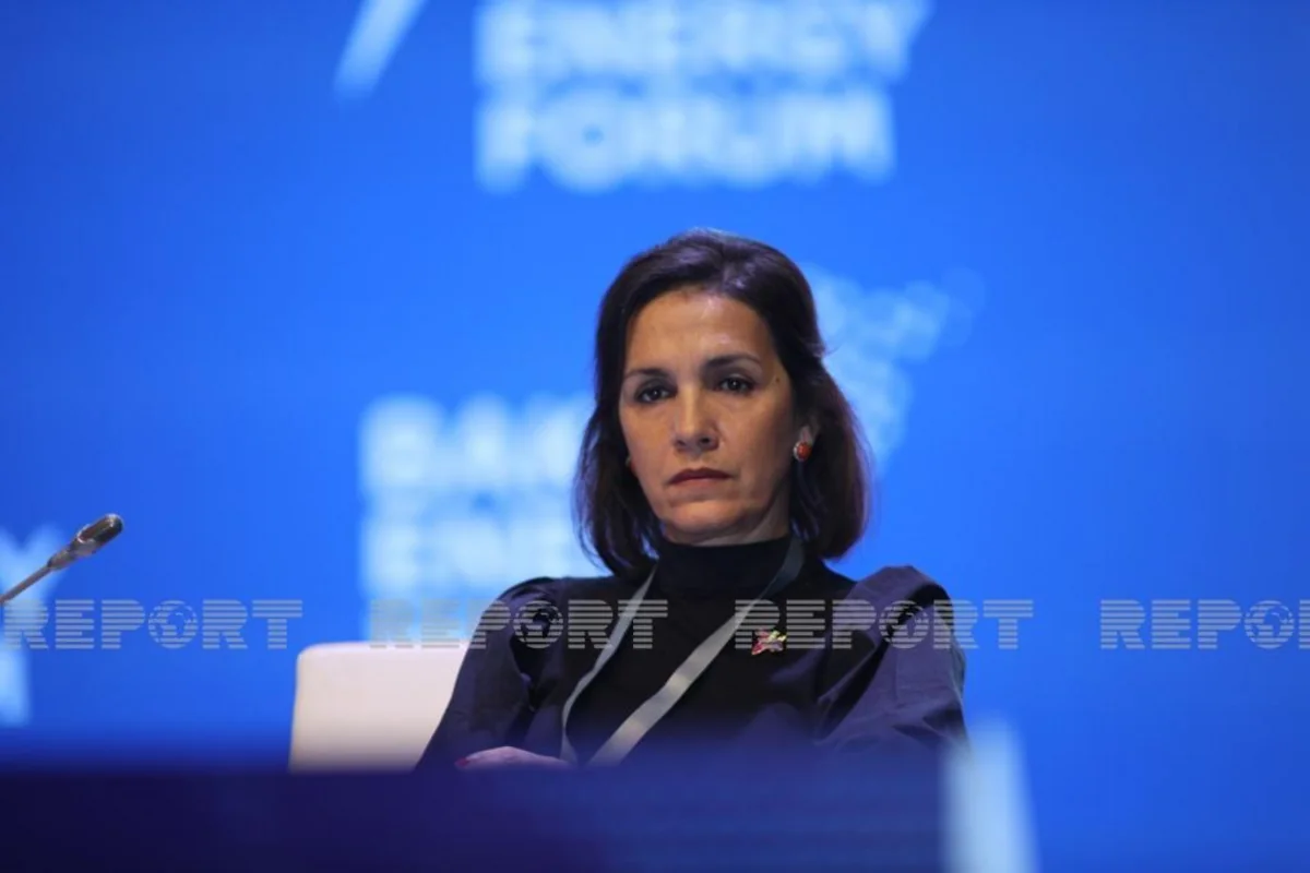 EU Commission representative for energy policy to visit Azerbaijan