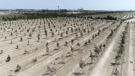 Biz birlikdə güclüyük şüarı altında yaşıllıq salındı