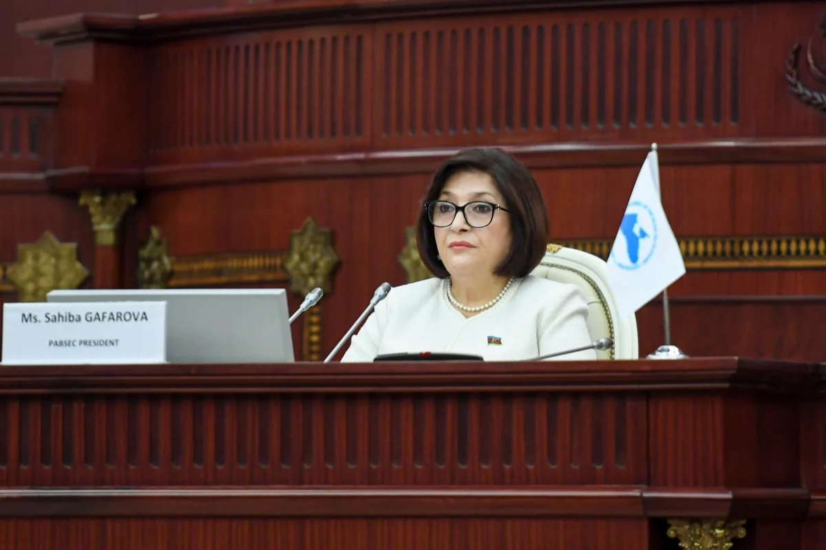 Sahiba Gafarova: BSEC countries should form legal framework for artificial intelligence