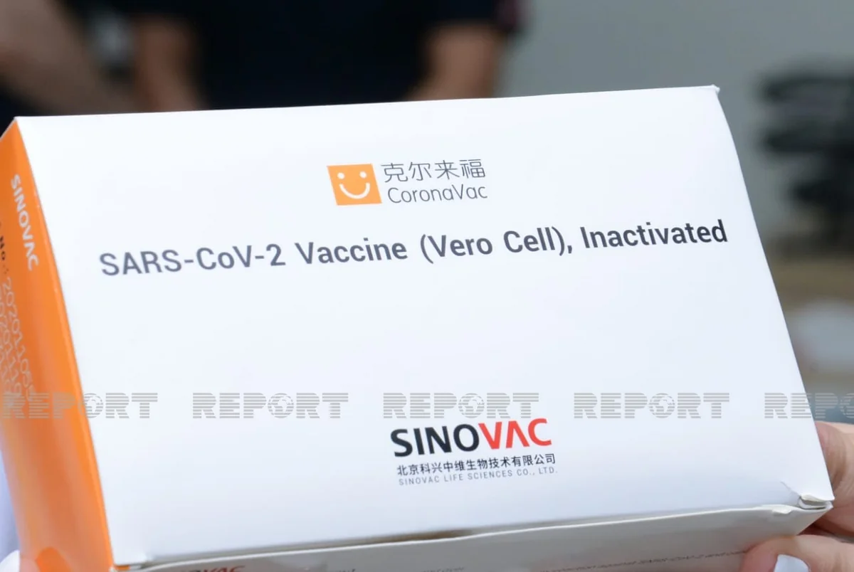 Koronavirus vaksini Azərbaycana mərhələli şəkildə gətiriləcək