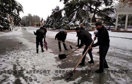 Gəncədə qar bəzi fəsadlar yaradıb - YENİLƏNİB