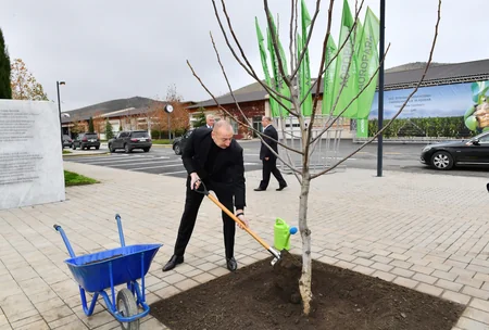 İlham Əliyev “Şəki-Oğuz” Aqroparkında yaradılan şəraitlə tanış olub - YENİLƏNİB
