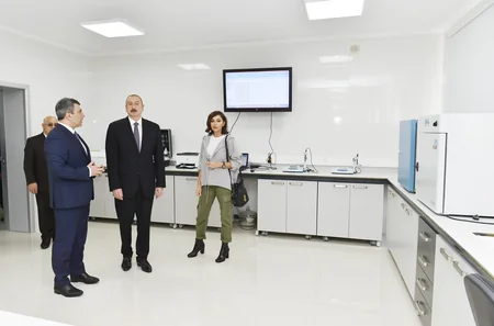 Prezident İlham Əliyev Qubada Meyvəçilik və Çayçılıq Elmi-Tədqiqat İnstitutunun tingçilik müəssisəsi ilə tanış olub - YENİLƏNİB