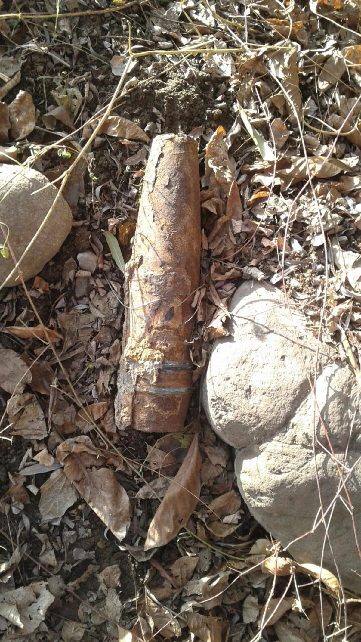 Tovuzda 4 ədəd top mərmisi aşkarlanıb