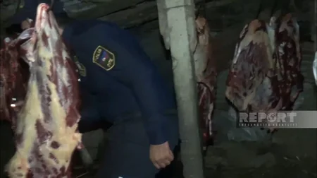 3 baş atı kəsərək ətini Bakıda satmaq istəyən şəxslər saxlanılıb