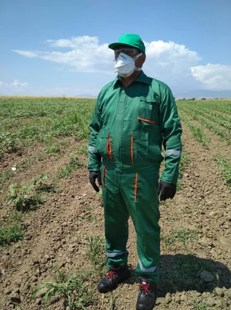 Dövlət Fitosanitar Nəzarəti Xidmətinin rəhbəri Tərtərin zəhərlənmə baş vermiş pambıq sahəsində olub