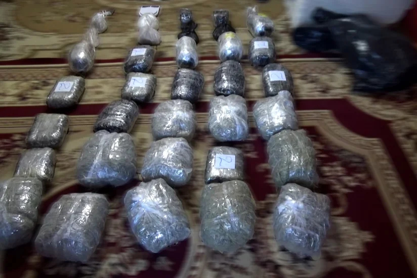 DİN iki rayonda əməliyyat keçirib, 50 kiloqram narkotik vasitə götürülüb