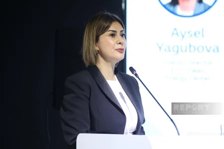 Laçında dayanıqlı inkişafda qadınların rolu mövzusunda panel sessiya keçirilib