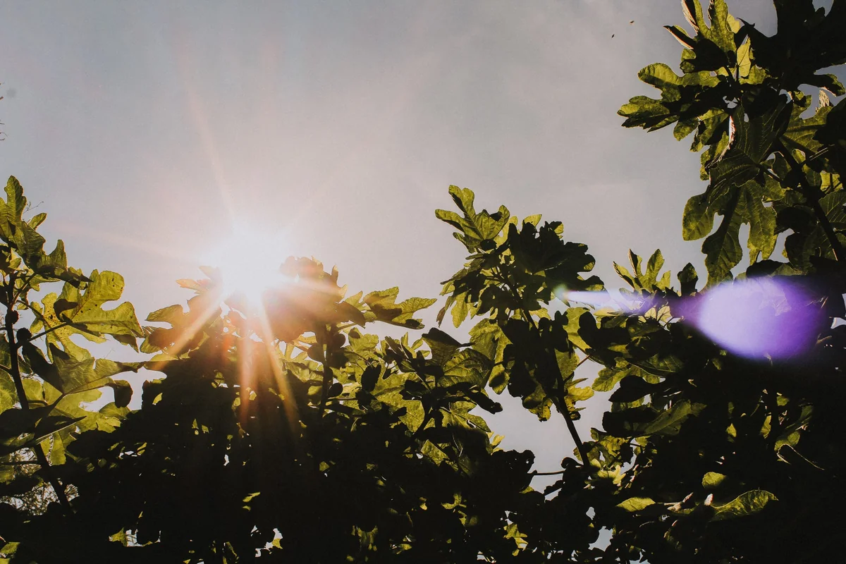 Rainless, windy weather expected on November 23