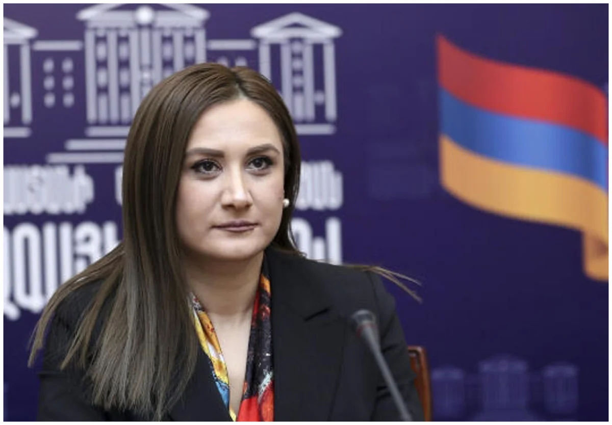 Erməni deputat: “Azərbaycan peyk alanda biz villalar tikirdik”