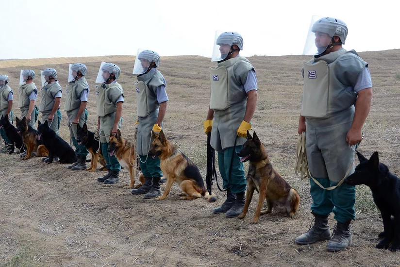 ANAMA-nın sentyabrda zərərsizləşdirdiyi partlamamış hərbi sursatların sayı açıqlanıb