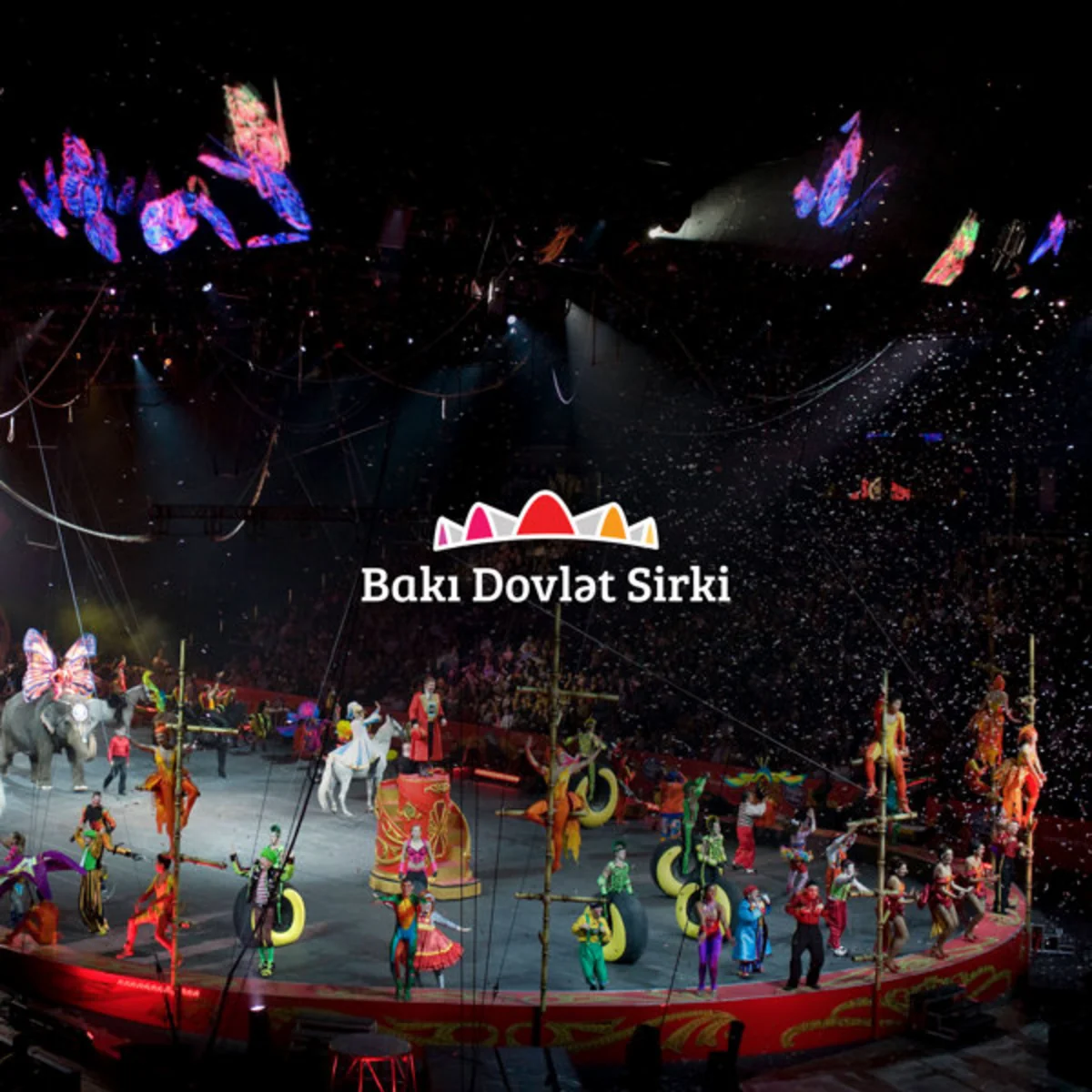 ​Бакинский государственный цирк представит цирковое шоу Золотая четверка