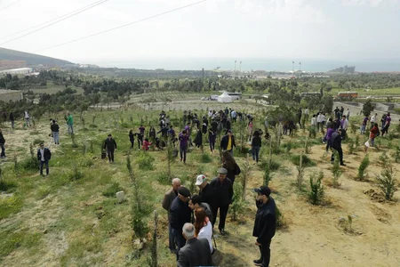 Tünzalə Ağayeva Dostluq Parkında ağacəkmə aksiyasına qatılıb