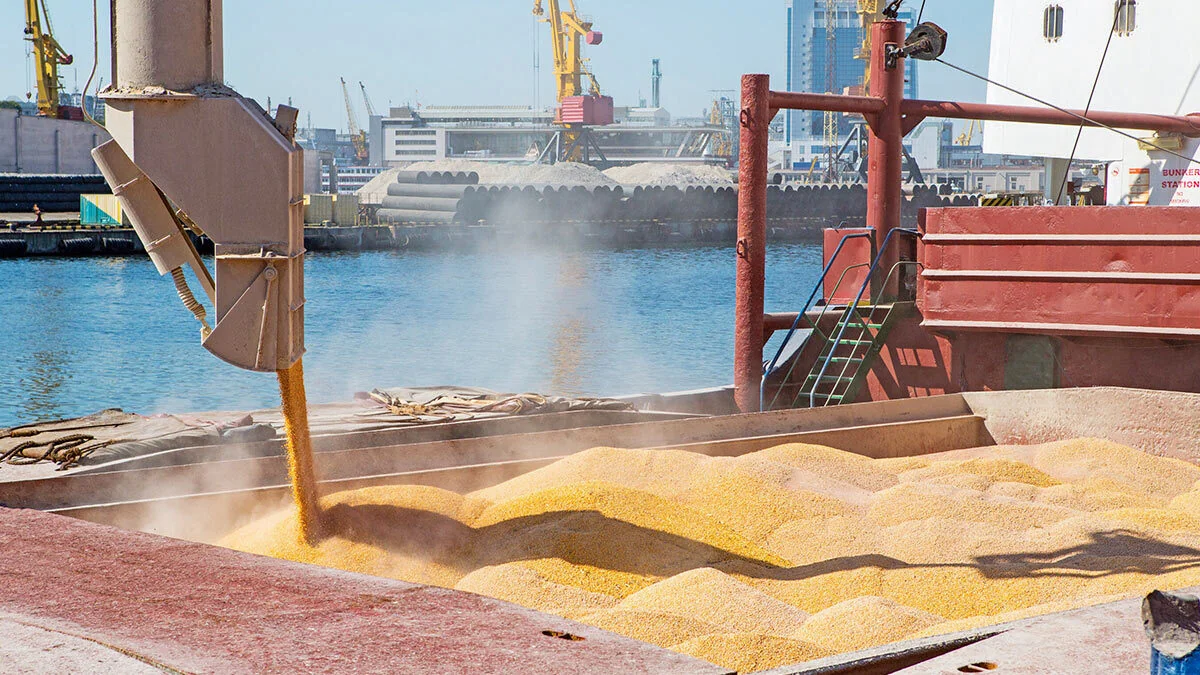 Turkiye regrets Russia's decision on grain deal