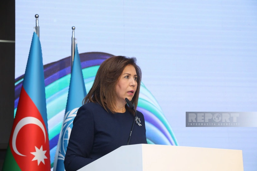 Azərbaycanda genderə həssas büdcənin yaradılması təklif olunur