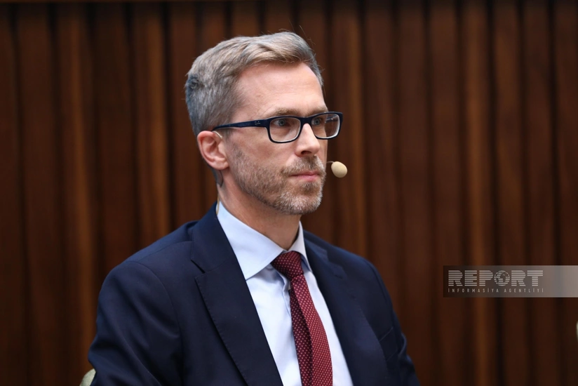 Scandinavian countries can become vital partners in Azerbaijan's green transition, Swedish ambassador says