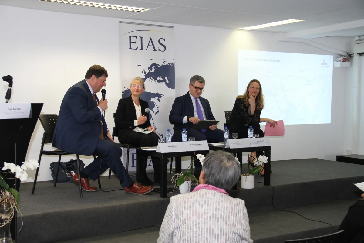 UNDP, EC discuss strengthening transport links between East and West