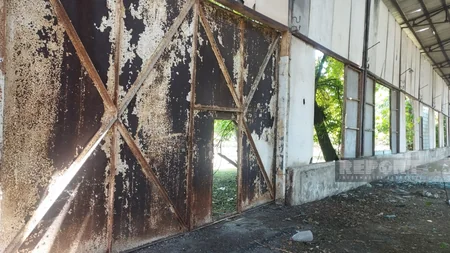 Məşhur sovet filmində adı çəkilən, üç əsrin şahidi, tarixə qovuşmaq üzrə olan şərab zavodu – Kürdəmirdən REPORTAJ  