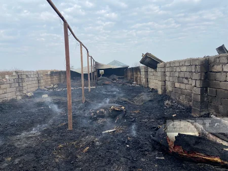 Kürdəmirdə tövlədə yanğın baş verib, 39 baş iri buynuzlu heyvan tələf olub