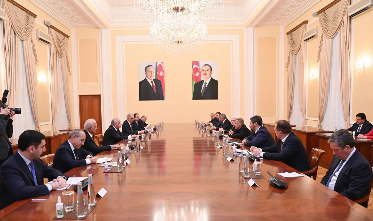 Əli Əsədov Tatarıstan Prezidenti ilə görüşüb