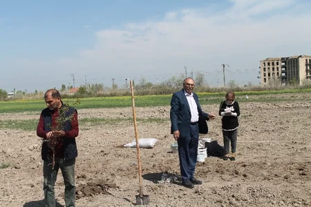 Karrar Dayaq məntəqəsində nadir bitkilərin canlı kolleksiyası yaradılır