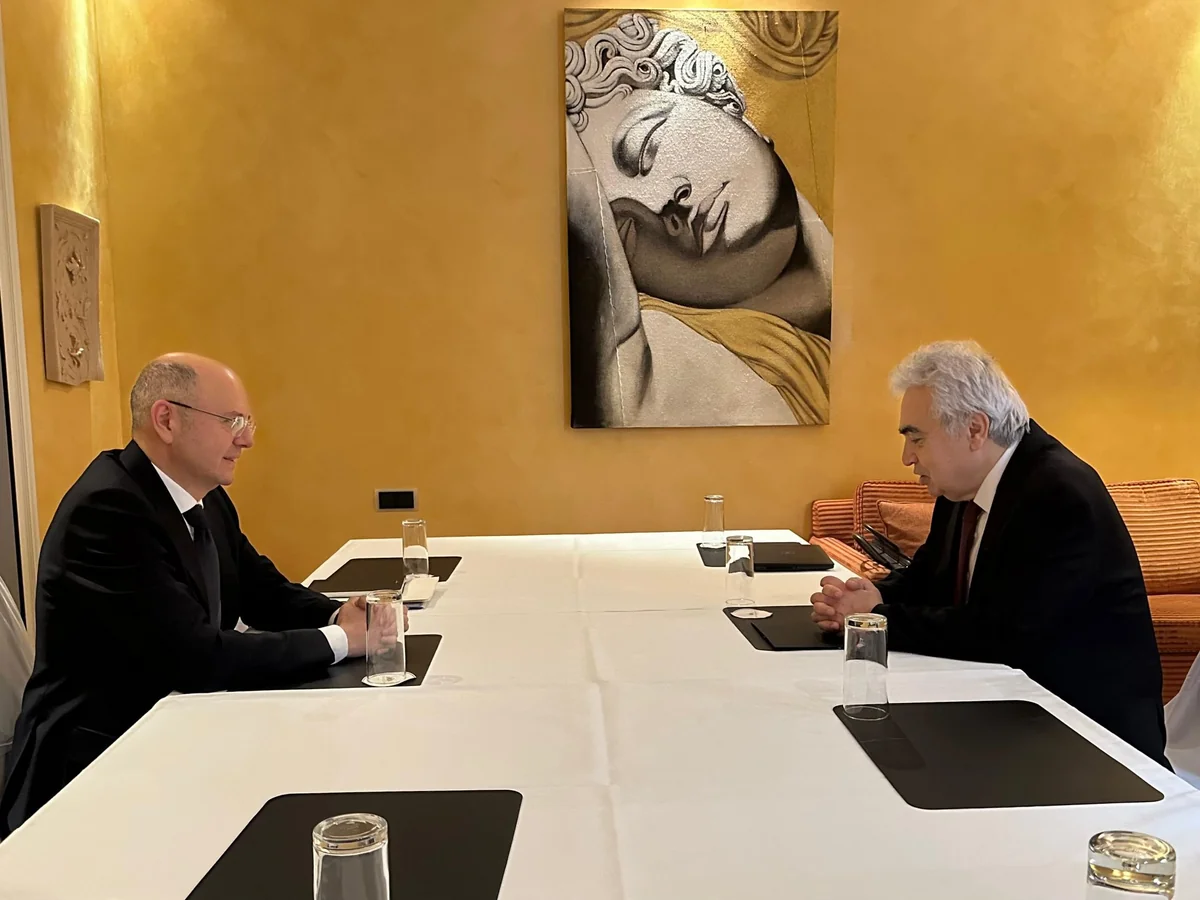 Azerbaijan, IEA explore situation in global energy market