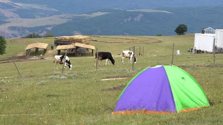II Milli Yaylaq Festivalı keçiriləcək