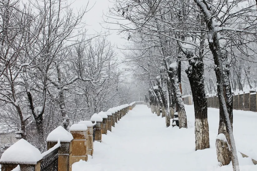 Azərbaycanın şimalında qarın hündürlüyü 36 sm-ə çatdı