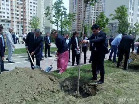 Azərbaycanın Gürcüstandakı səfirliyi Heydər Əliyevin 95 illik yubileyi ilə əlaqədar ağacəkmə aksiyası keçirib