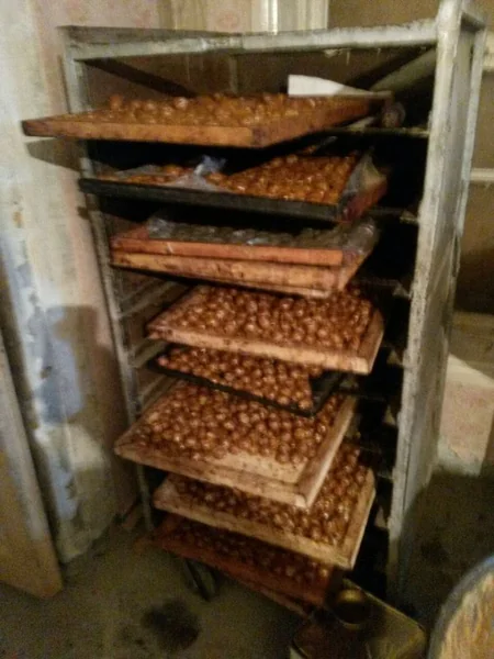 ​Lənkəranda qanunsuz fəaliyyət göstərən sexdə şirniyyat istehsalının qarşısı alınıb