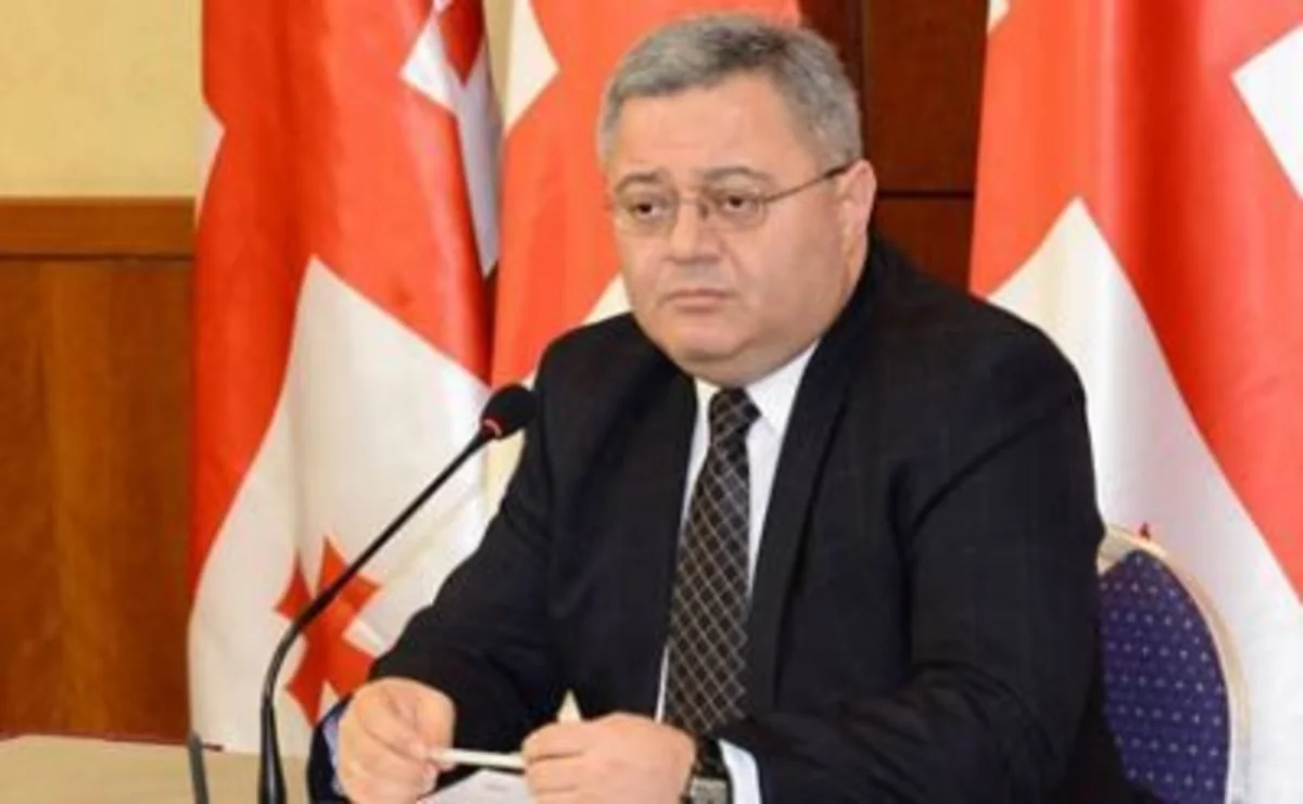 David Usupaşvili: Prezident seçkilərində əsas rəqibim olan Salome Zurabişvilini məğlub edəcəyəm