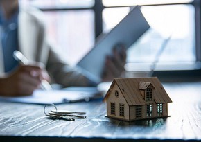 Government mortgage lending in eight months amounts to over $205M
