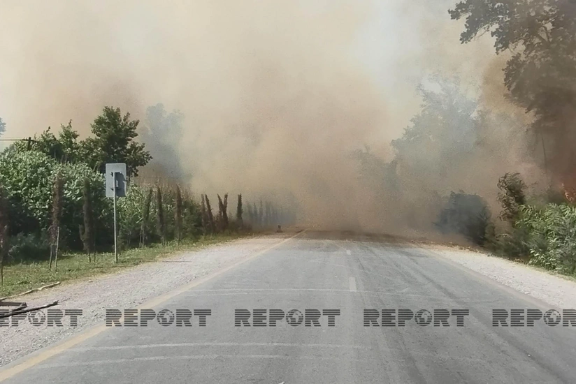 FHN: Külək Xaçmazda yanğın ocaqlarının tam söndürülməsinə mane olur