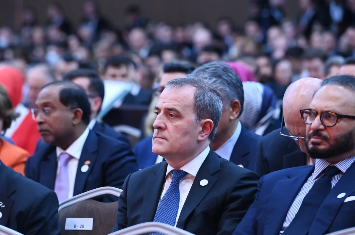 Ceyhun Bayramov: TDT dünyanın diqqətini çəkir