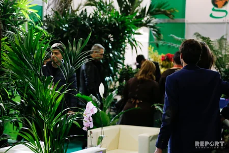 Bakıda beynəlxalq çiçəkçilik və şəhərsalma sərgisi keçirilir