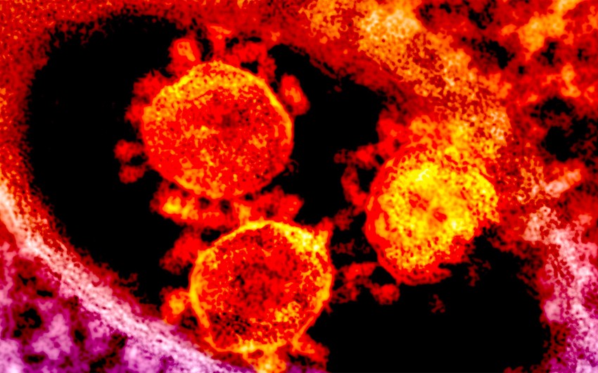 Finland discovers new COVID-19 strain
