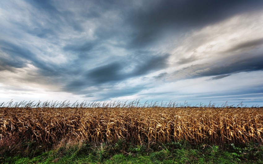 Weather forecast for Saturday revealed