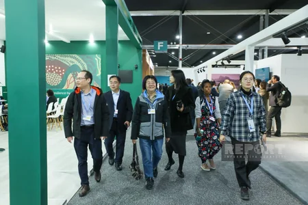 На COP29 представлены павильоны разных стран