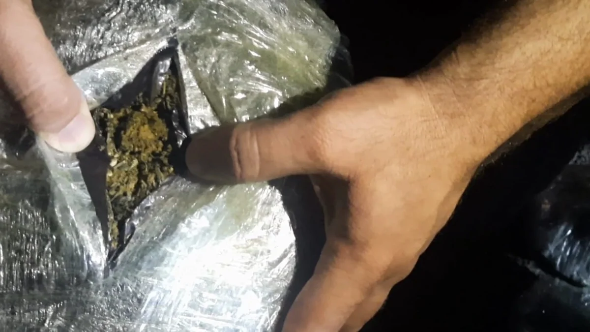 Masallı sakinindən 7 kiloqram narkotik vasitə aşkarlanıb