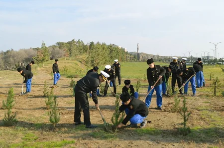 Azərbaycan Ordusunda ağacəkmə aksiyası davam edir